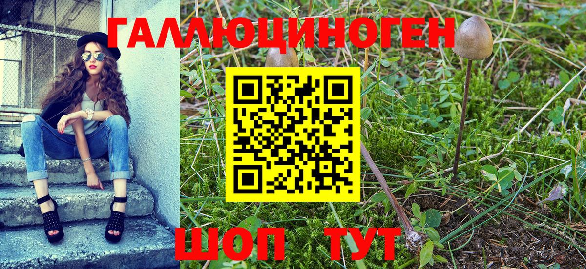 Феодосия  Псилоцибиновые грибы прущие грибы  Вход с VPN 